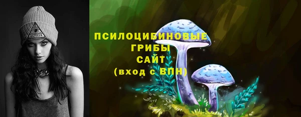 соль ск Алексин