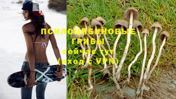 соль ск Алексин