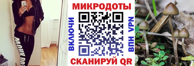 кракен зеркало  купить наркотики цена  Малаховка  Псилоцибиновые грибы Psilocybe 